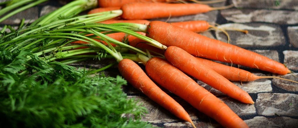 Wholesale Dehydrated Carrots in Bulk Packaging